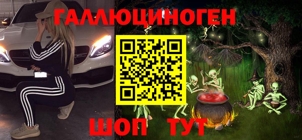 как найти наркотики  Вход с VPN  Галлюциногенные грибы Cubensis  Курганинск  Псилоцибиновые грибы GOLDEN TEACHER 